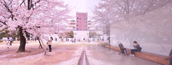 21st Century Museum of Contemporary Art, Kanazawa is one of Scenic Spots.