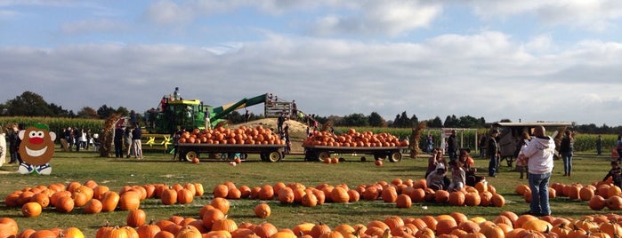 Hank's Pumpkintown is one of Christopherさんのお気に入りスポット.