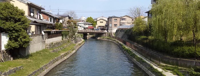 いものや橋 is one of 琶湖疏水に架かる橋(国道24号以南).