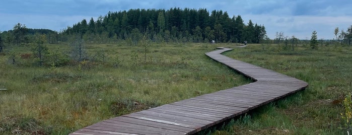 Экологическая тропа is one of Tempat yang Disukai Lena.