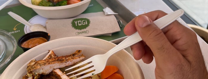Yogi is one of Restaurants.