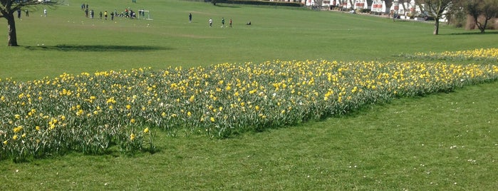 Lloyd Park is one of London.