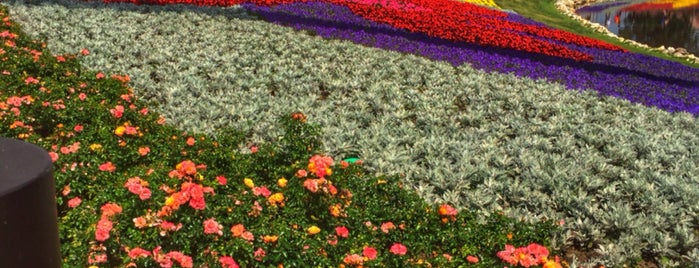 Epcot International Flower & Garden Festival 2015 is one of Lindsaye'nin Beğendiği Mekanlar.
