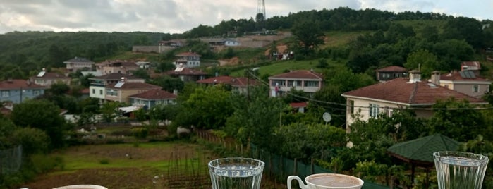 Üvezli is one of Plajlar.