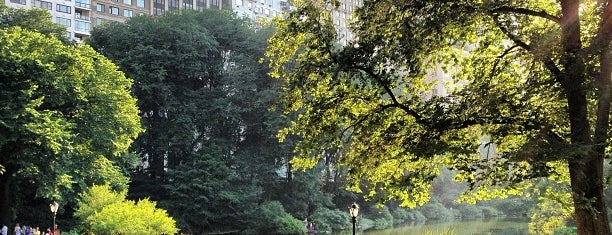 Central Park is one of New York.