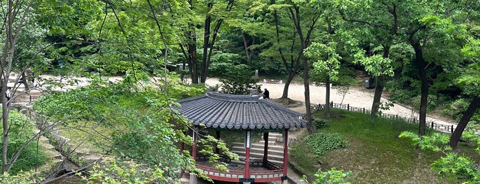 Jondeokjeong is one of 창덕궁 후원(Ch'angdok Palace back garden).