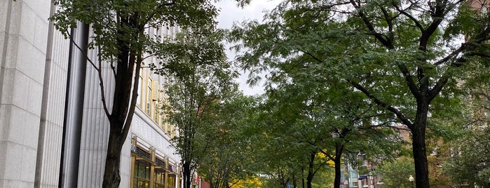 Nordstrom Rack is one of Boston Sights.