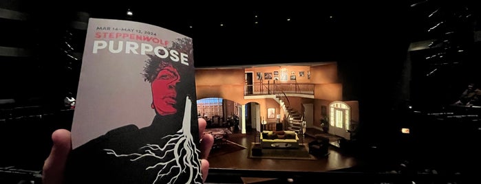 Steppenwolf Theatre Company is one of CBS Sunday Morning 2.