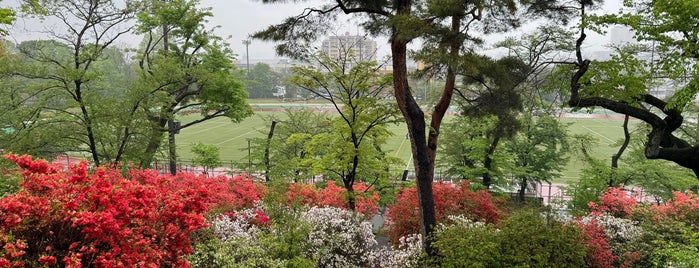 Fujimori Park is one of 東京散歩.