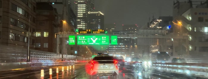 Hamazakibashi JCT is one of 首都高速都心環状線.