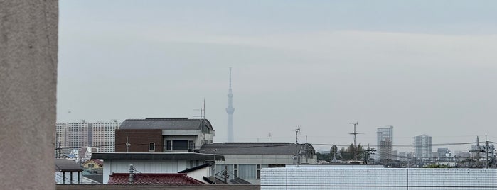 Ichikawa is one of 市区町村.