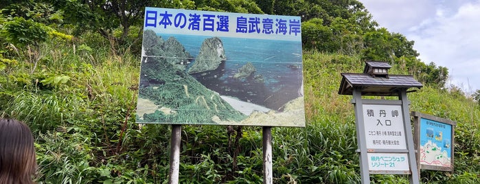 Cape Shakotan is one of 北海道.