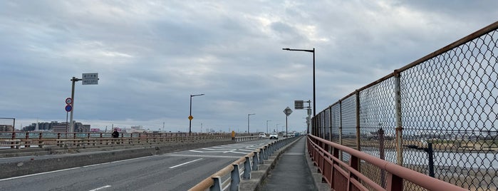 Shin-gyotokubashi bridge is one of Ichikawa・Urayasu.