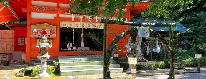 伊那下神社 is one of 松崎町.