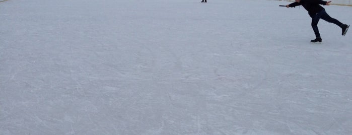 Pista de Patinajes Municipal de Ushuaia is one of RoMix'in Beğendiği Mekanlar.