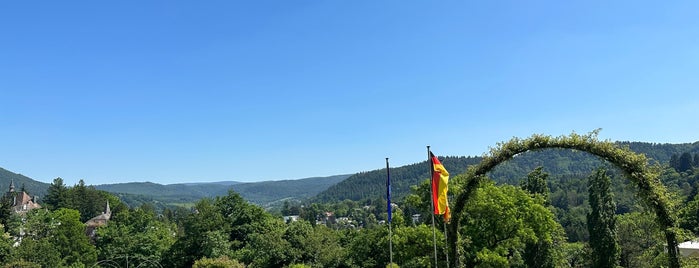 Rosenneuheitengarten is one of Baden-Baden.