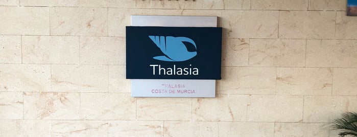 Hotel Thalasia Costa de Murcia is one of Paseos.