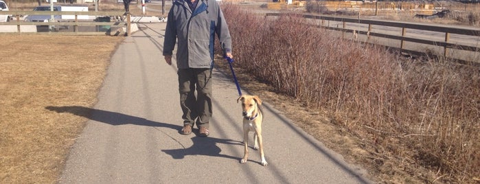 Marshall Field Park is one of Dog Parks in British Columbia.