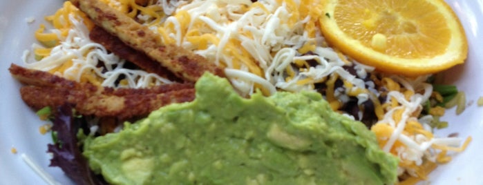 Green Vegetarian Cuisine is one of San Antonio Tour.