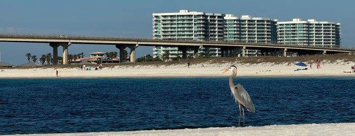 Perdido Beach is one of Georgeさんのお気に入りスポット.