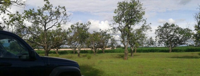 La Huerta de Chabacanos is one of สถานที่ที่ Juan ถูกใจ.