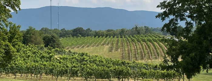 Shenandoah Vineyards is one of Winerys We Must Visit.