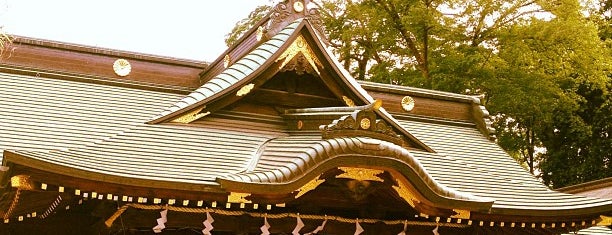 Okunitama Shrine is one of 八百万の神々 / Gods live everywhere in Japan.