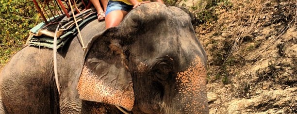 Siam Elephant Safari is one of Locais salvos de Ali.