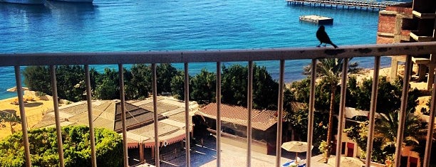 Hurghada Marriott Beach Resort is one of Best places in Hurghada, Red Sea.