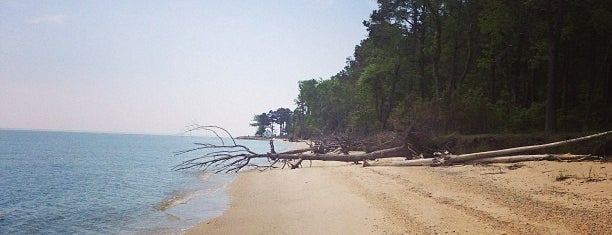Point Lookout State Park is one of สถานที่ที่ Benjamin ถูกใจ.