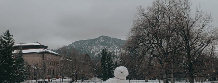 Norlin Library is one of Boulder Hot Spots.