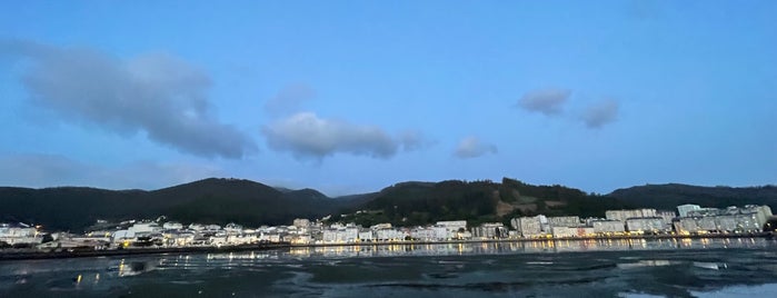 Viveiro is one of Donde ir.