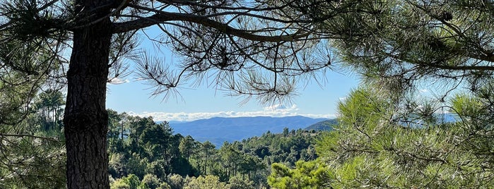 Parc Natural de la Serra d'Espadà is one of Senderismo.