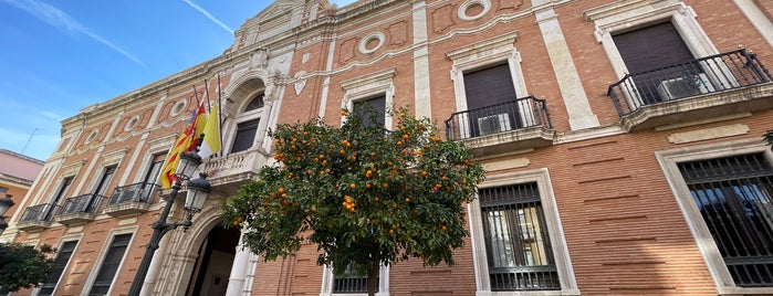 Palacio Arzobispal is one of Valencia.