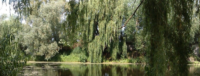 Інститутське озеро is one of Tempat yang Disukai Maksym.