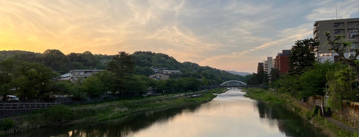 浅野川大橋 is one of 渡った橋（西日本）.