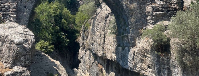 Köprülü Kanyon Rafting Kamp Doğa Alanı is one of Antalya.