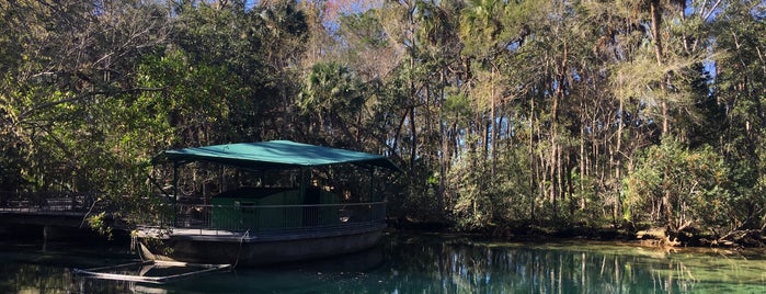 Homasassa Wildlife Preserve is one of Frau S.'ın Beğendiği Mekanlar.