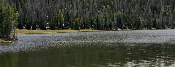 Mirror Lake is one of Lugares favoritos de Mitchell.