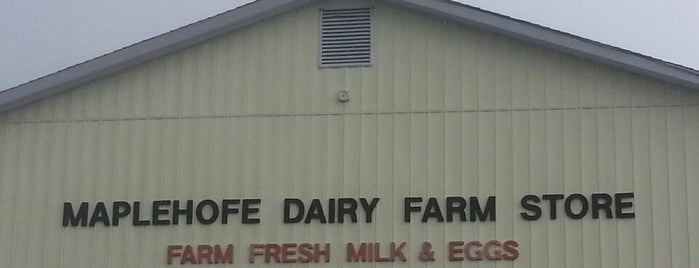 Maplehofe Dairy is one of Lugares favoritos de Clyde.