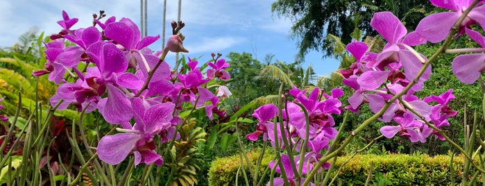 Bali Orchid Garden is one of Melalii.