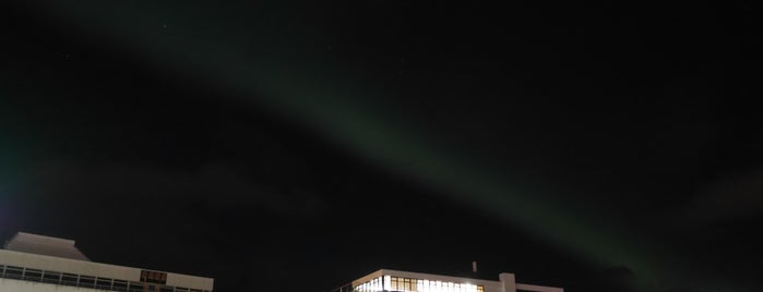 Nothern Lightsapocalypse is one of Reykjavik.