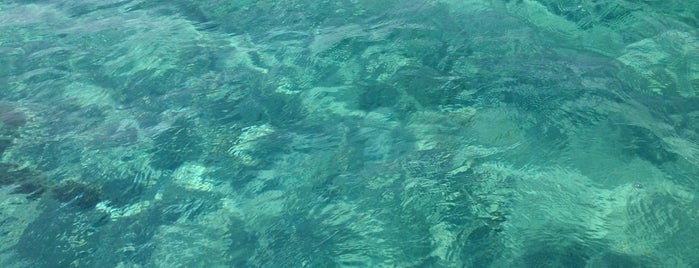 Petali Island is one of Greece.