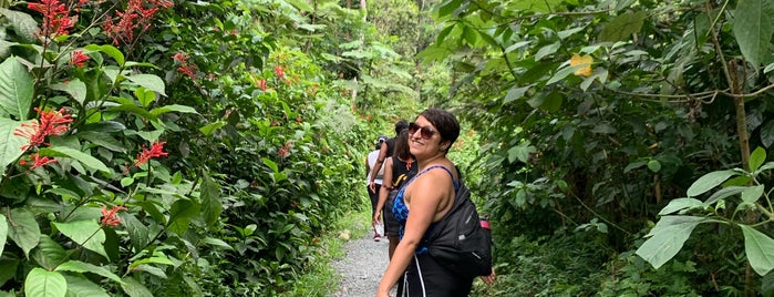 La Mina Trail is one of Puerto Rico.