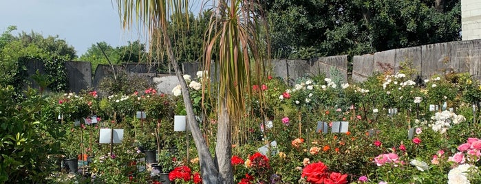 West Valley Nursery is one of Woodland Hills's and Tarzana's best spots.