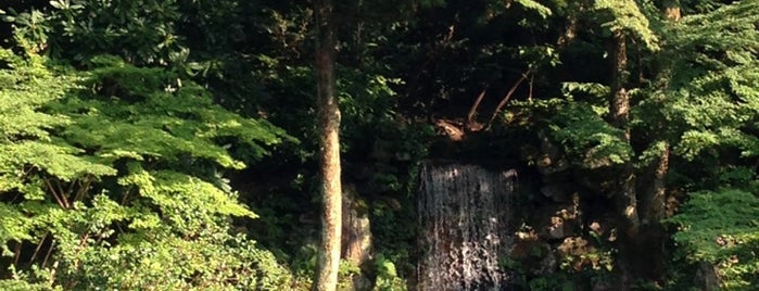 Midori-taki falls is one of 兼六園(Kenroku-en Garden).