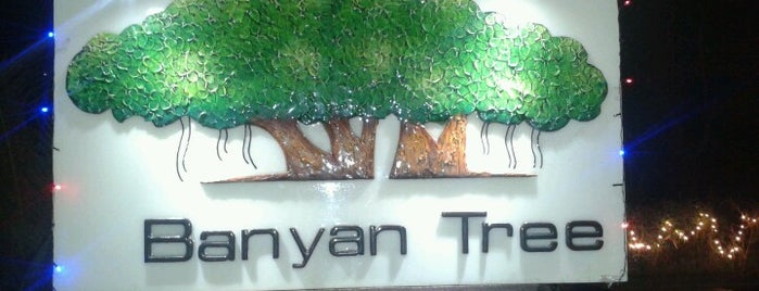 Banyan tree is one of My places.