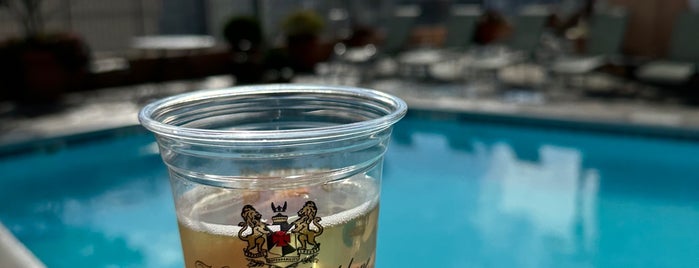 Hotel Monteleone Rooftop Pool & Patio is one of New Orleans.