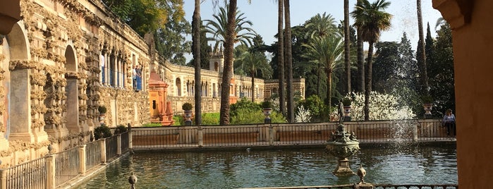 Jardines de los Reales Alcázares is one of Sevilla.