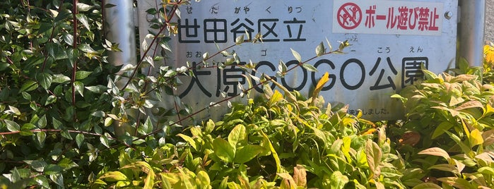 大原GOGO公園 is one of Pet.